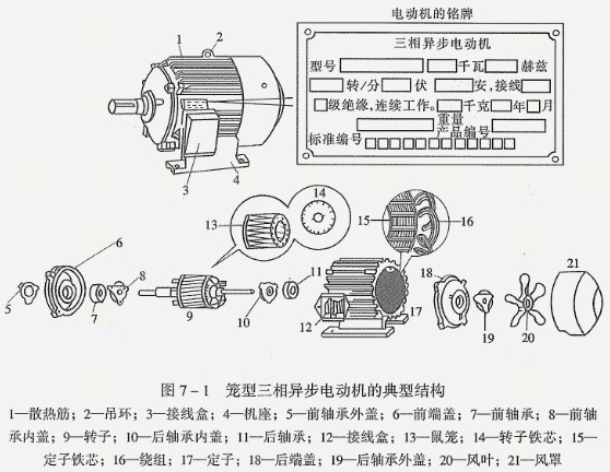 防爆電機內(nèi)部結構圖